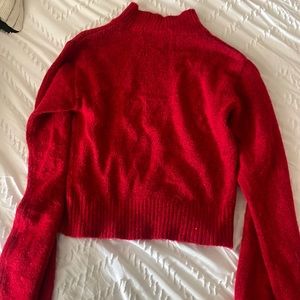 Red wild fable sweater
